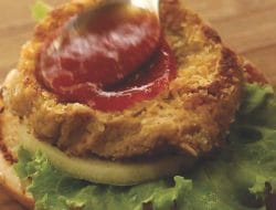 Peluang Usaha Dengan Modal Minim Burger Tempe Sehat