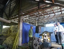 Pengolahan Tebu Lawang Jadi Gula Merah Hemat Biaya Produksi 60 Persen Berkat ‘Electrifying Agriculture’ PLN