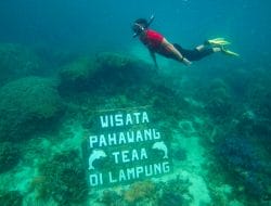 Desa Wisata Pulau Pahawang Lampung Diminta Menparekraf Agar Fokus Kembangkan Alam dan Budaya