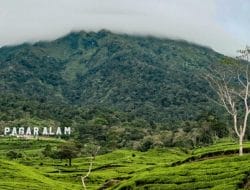 Desa Wisata Tebat Lereh di Sumsel Masuk 50 Besar ADWI 2022, Andalkan Daya Tarik Alam dan Budaya
