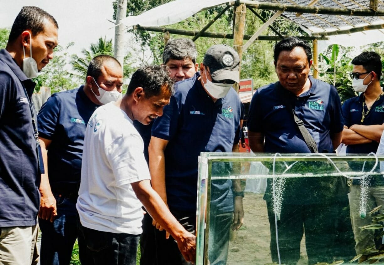 Budidaya Ikan