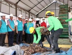 Ubah Sampah Kota Jadi Bahan Bakar PLTU, PLN dan Pemkot Medan Bangun Pabrik Biomassa