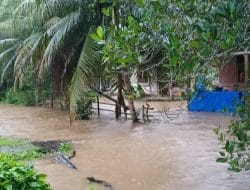 Sebanyak Delapan Kecamatan di Simeulue Tergenang Banjir