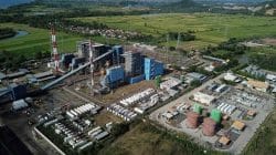 Co-firing PLTU Jeranjang Gerakkan Ekonomi Rakyat di Lombok-NTB, Serbuk Kayu Hingga Sekam Padi Jadi Sumber Energi