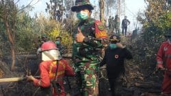Tim Satgas Karhutla Berhasil Padamkan Kebakaran di Tebo
