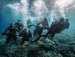 Menparekraf Luncurkan Safety 1000 Training Extravaganza Perkuat Ekosistem Wisata Selam